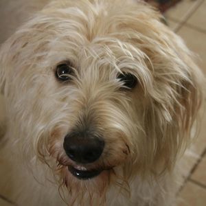 Meet your Posher, Patsy